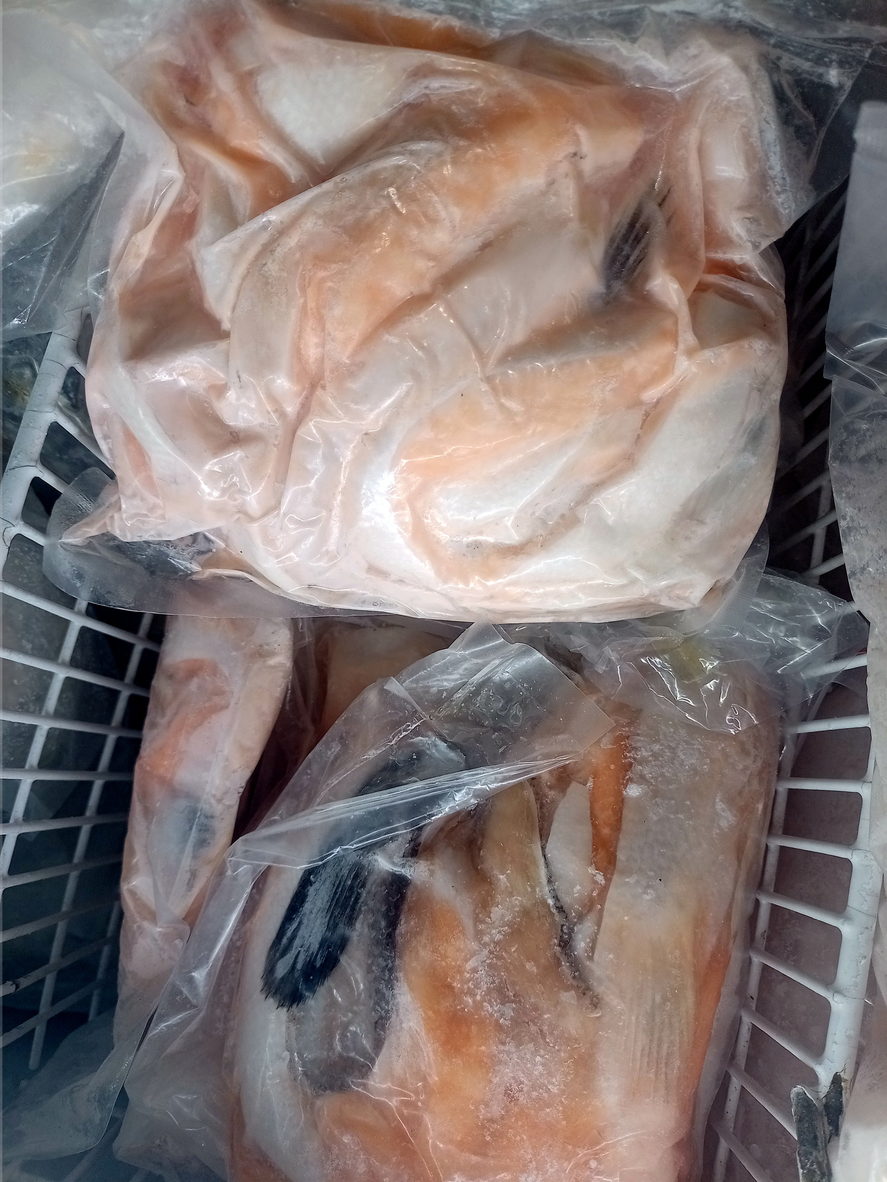 SF1 SALMON BELLY STRIPS 500G